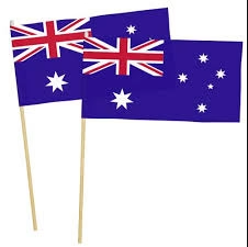 Shoprider Mobility Scooter Flag