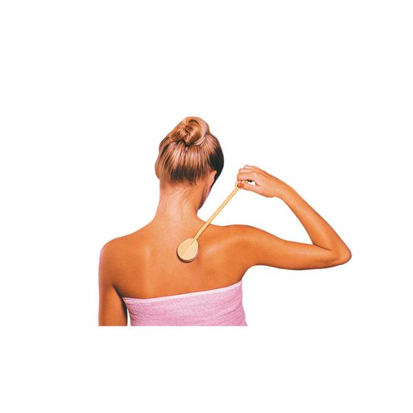 Lotion Applicator with Replaceable Sponge